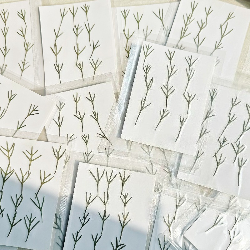 24pcs,Real Pressed Achillea Le - Resin Art Supplies review and price